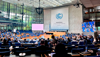 Reaction Paper: From SB64 to COP31